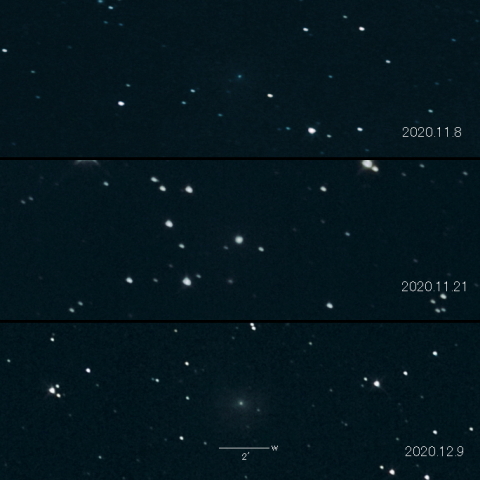 29P (Schwassmann-Wachmann) の変化