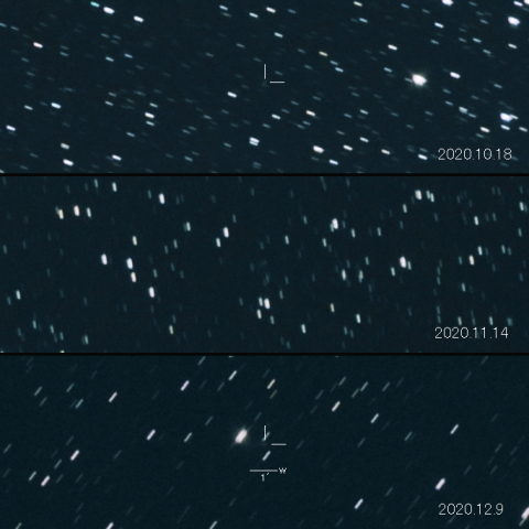 C/2020 N1 (PANSTARRS) の変化