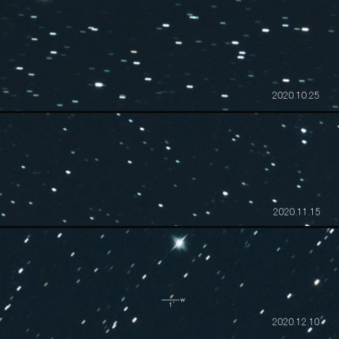 178P (Hug-Bell) の変化