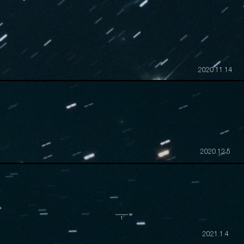 11P (Tempel-Swift-LINEAR) の変化