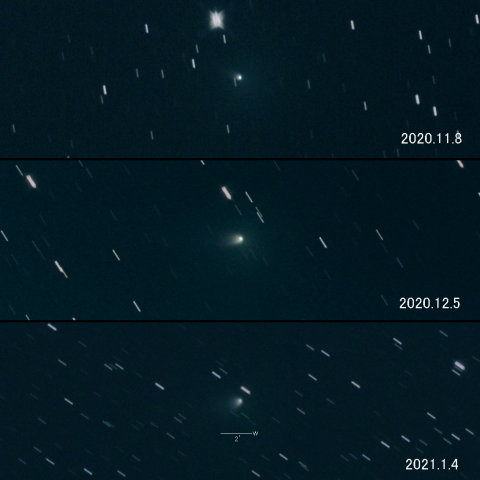 156P (Russell-LINEAR) の変化