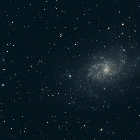 156P & M33