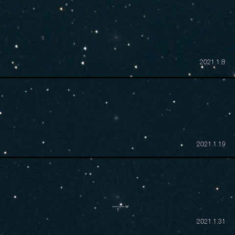 29P (Schwassmann-Wachmann) の変化