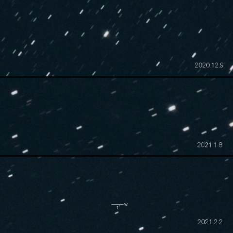 C/2020 N1 (PANSTARRS) の変化