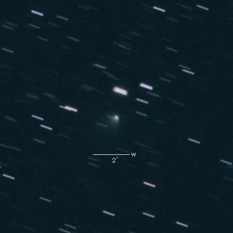 156P (Russell-LINEAR)