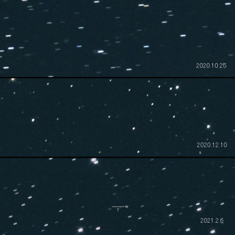 84P (Giclas) の変化