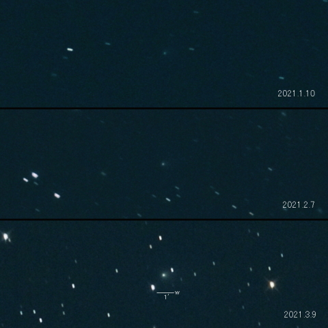 C/2020 T2 (Palomar) の変化