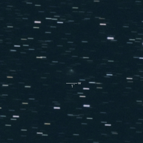 156P (Russell-LINEAR)