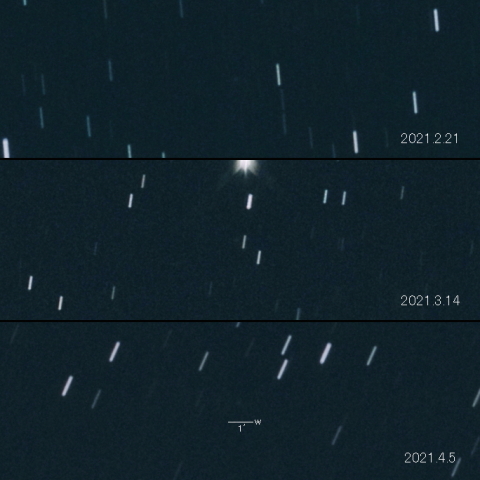 C/2020 Y3 (ATLAS) の変化