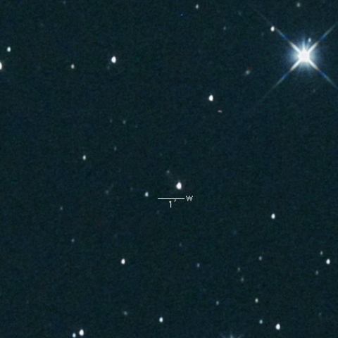 409P (LONEOS-Hill)