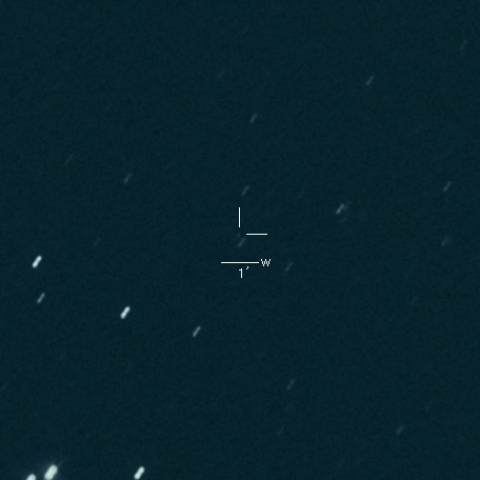 409P (LONEOS-Hill)
