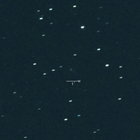 193P (LINEAR-NEAT)