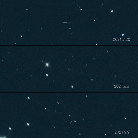 284P (McNaught) の変化