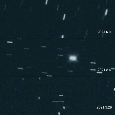 C/2021 D2 (ZTF) の変化
