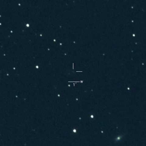 193P(LINEAR-NEAT)