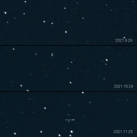 P/2021 N2 (Fuls) の変化