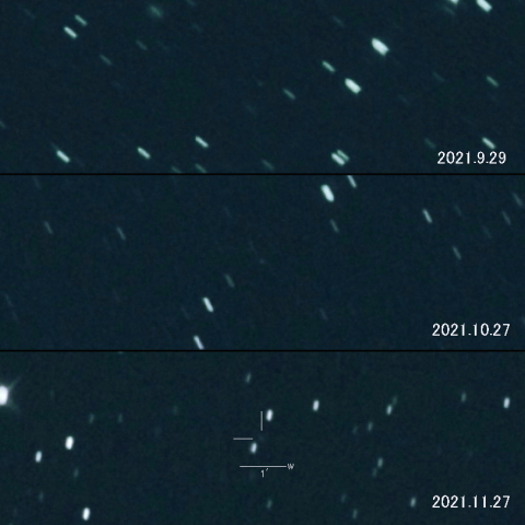 C/2021 O3 (PANSTARRS) の変化