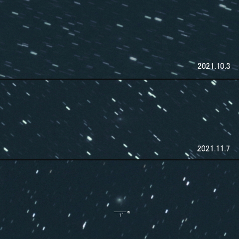 108P(Ciffreo) の変化