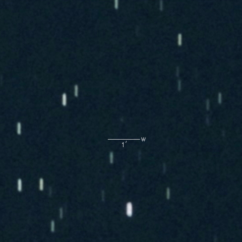 P/2021 U1 (Wierzchos)