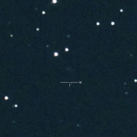 254P(McNaught)