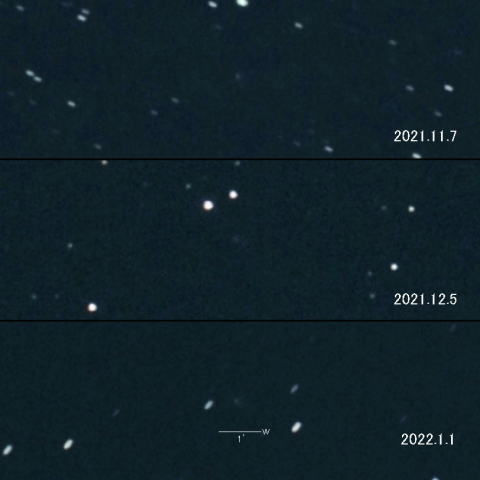 254P(McNaught)の変化