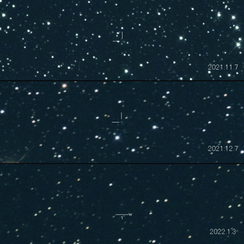 402P（LINEAR）の変化