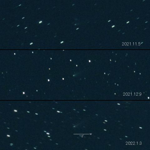 110P（Hartley）の変化
