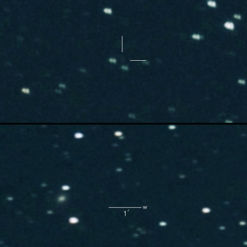 P/2020 V4 (Rankin) の変化