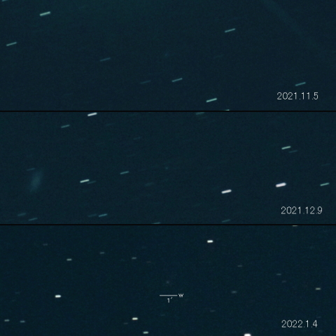 70P（Kojima）の変化