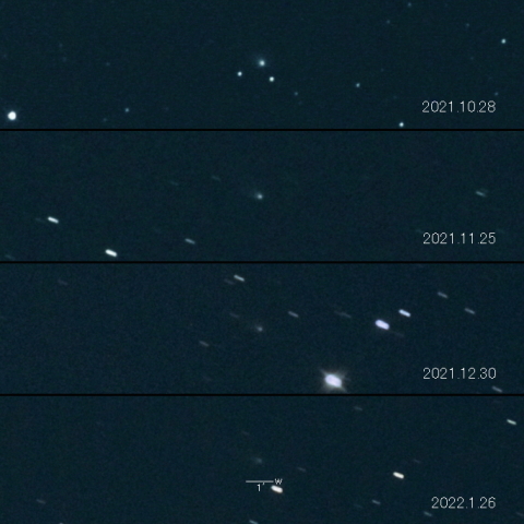 132P（Helin-Roman-Alu）の変化