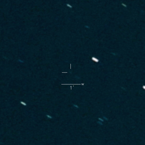 440P(Kobayashi)