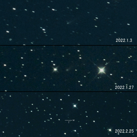 110P（Hartley）の変化