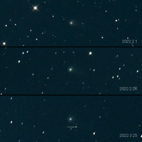 C/2019 T4 (ATLAS) の変化