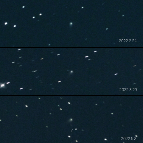 C/2020 V2 (ZTF) の変化