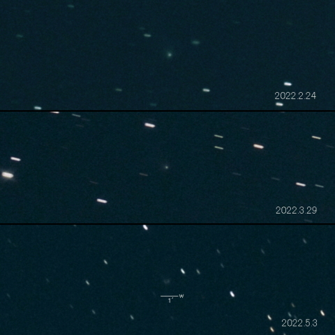 C/2020 M5 (ATLAS) の変化