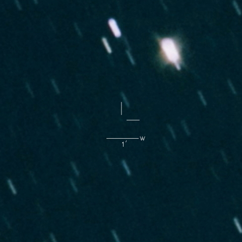 325P(Yang-Gao)
