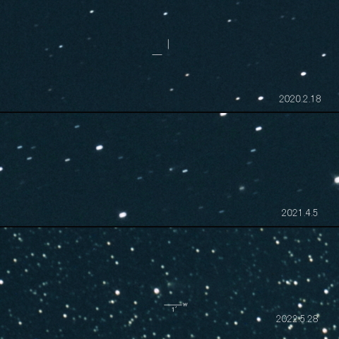 117P（Helin-Roman-Alu） の変化