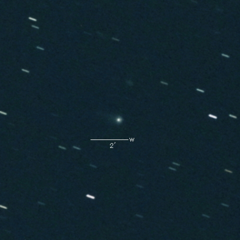 C/2019 U5 (PANSTARRS)