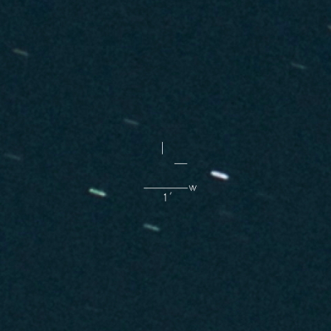 61P（Shajn-Schaldach）