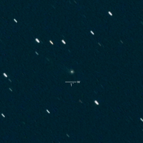 C/2019 U5 (PANSTARRS)