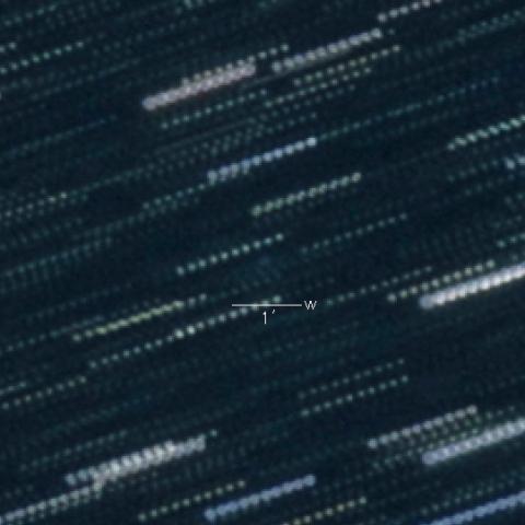 C/2022 L1 (Catalina)