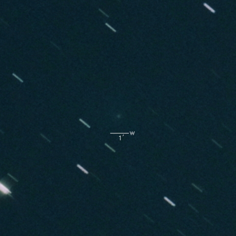 C/2022 P1 (NEOWISE)