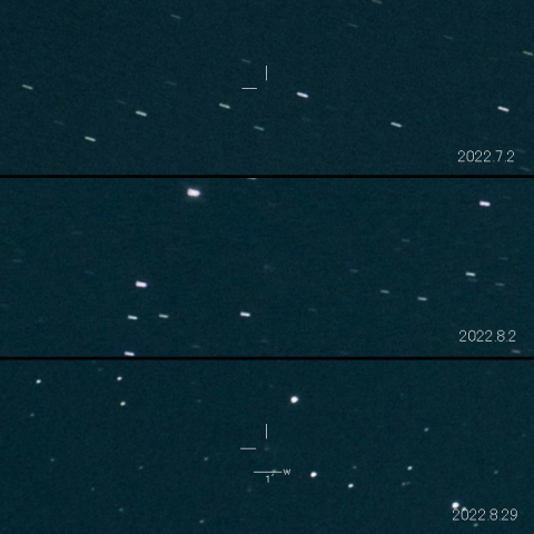 61P（Shajn-Schaldach）の変化