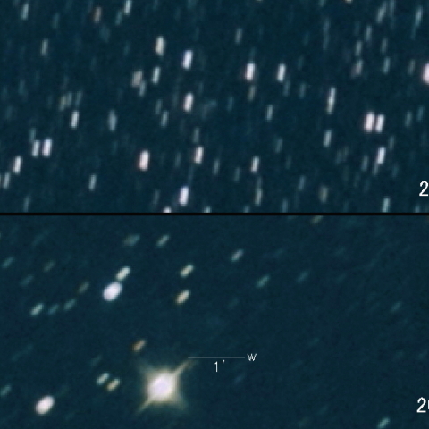 285P(LINEAR)の変化