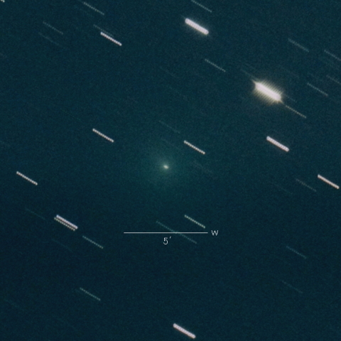 C/2022 P1 (NEOWISE)
