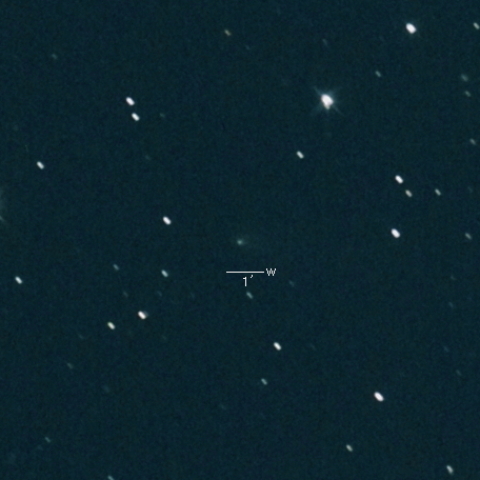 61P（Shajn-Schaldach） 