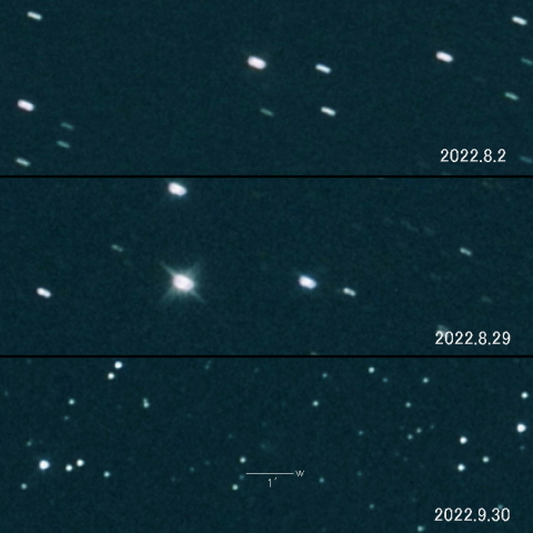 44P（Reinmuth） の変化