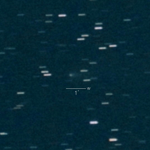 119P（Parker-Hartley）