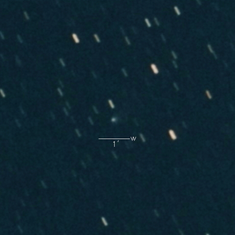 C/2021 Y1 (ATLAS)