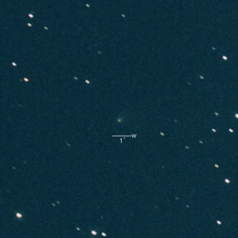 61P(Shajn-Schaldach)